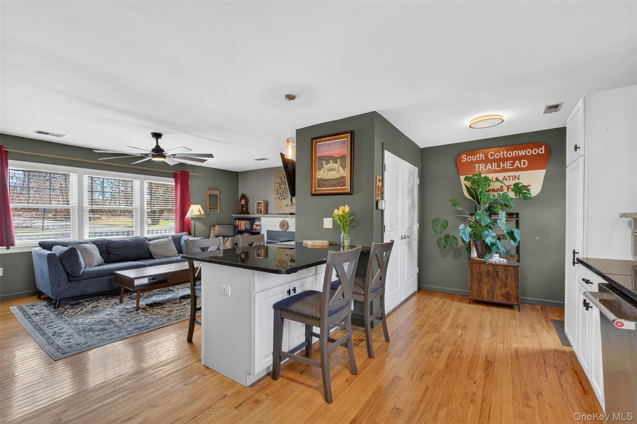 Single Family Linda  Dutchess County, NY 12524, MLS-972058-9