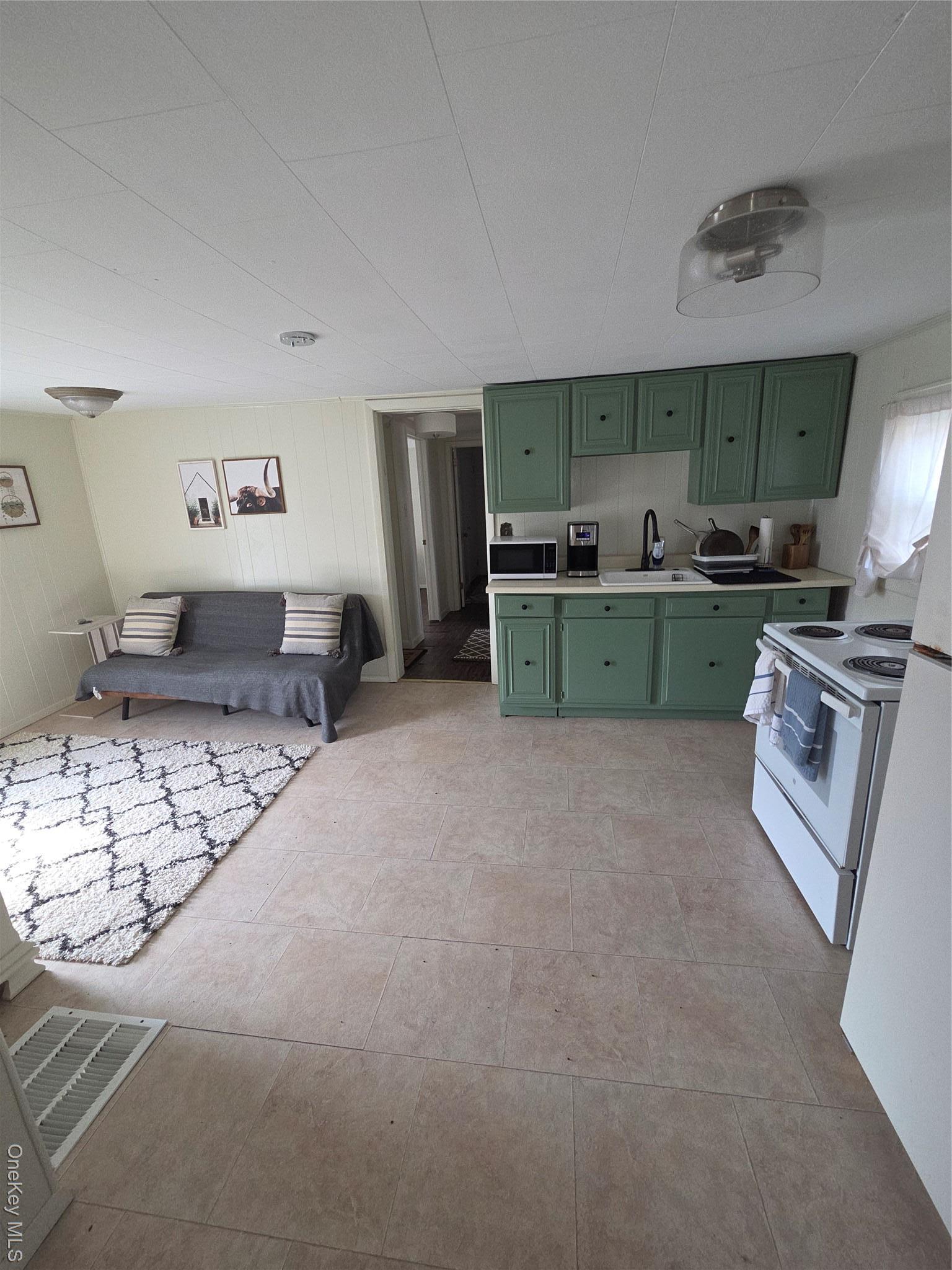 Single Family Main  Delaware County, NY 13783, MLS-972100-3