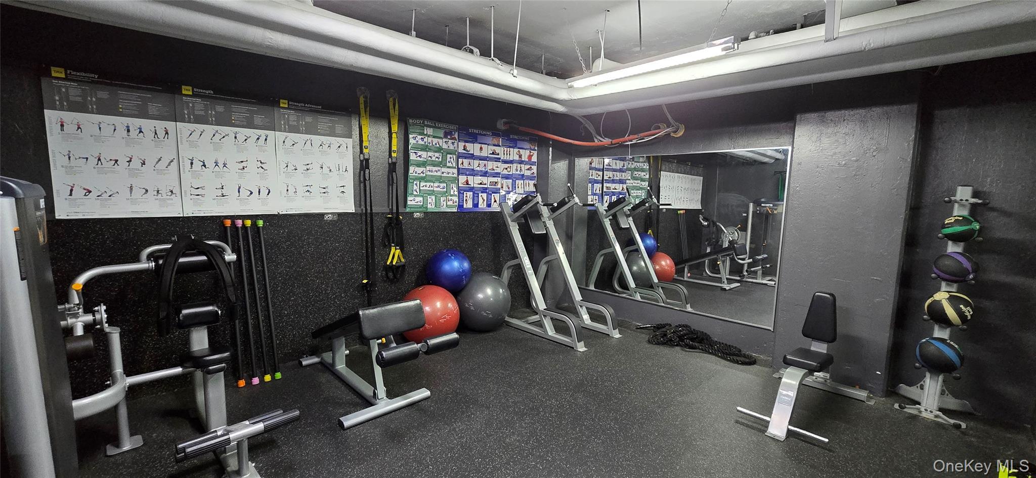 Coop 63rd  Queens, NY 11374, MLS-972114-18