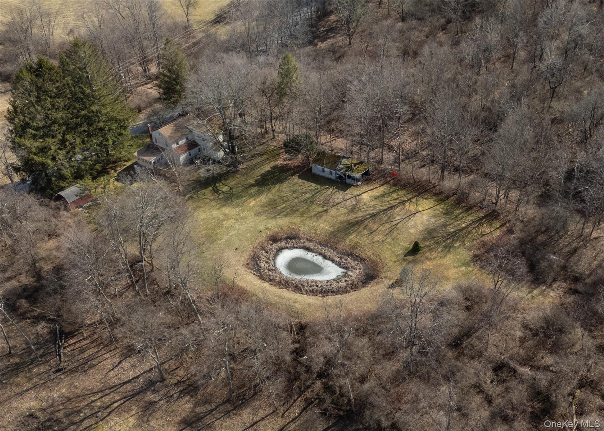 Single Family Bloody Hill  Columbia County, NY 12521, MLS-972121-5