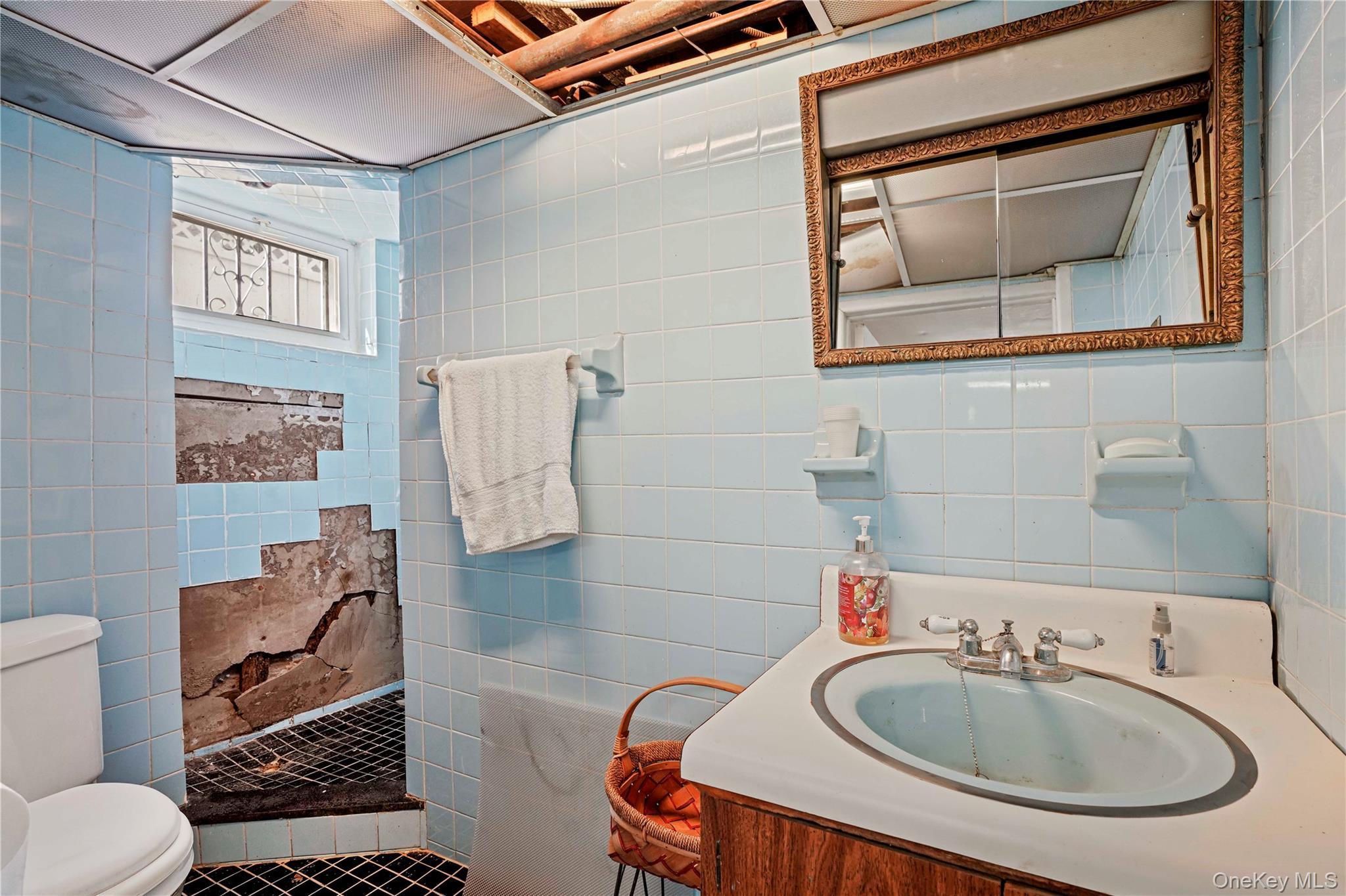 Single Family 115th  Queens, NY 11420, MLS-972131-18