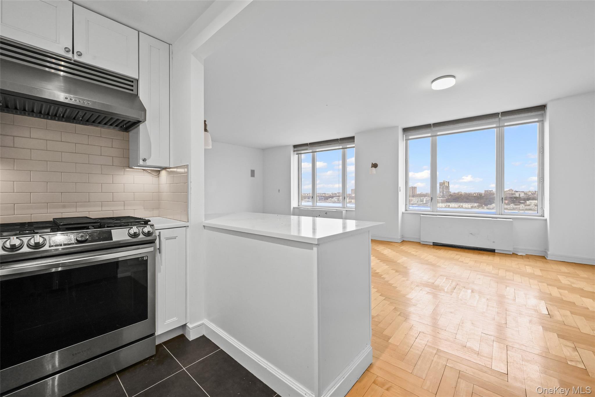 Condo Riverside  Manhattan, NY 10069, MLS-972141-15