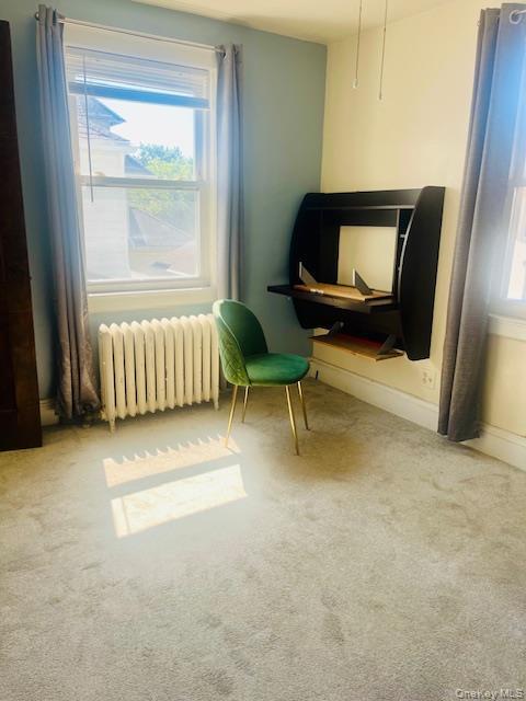 Single Family Myrtle Avenue Queens, NY 11418, MLS-972225-9