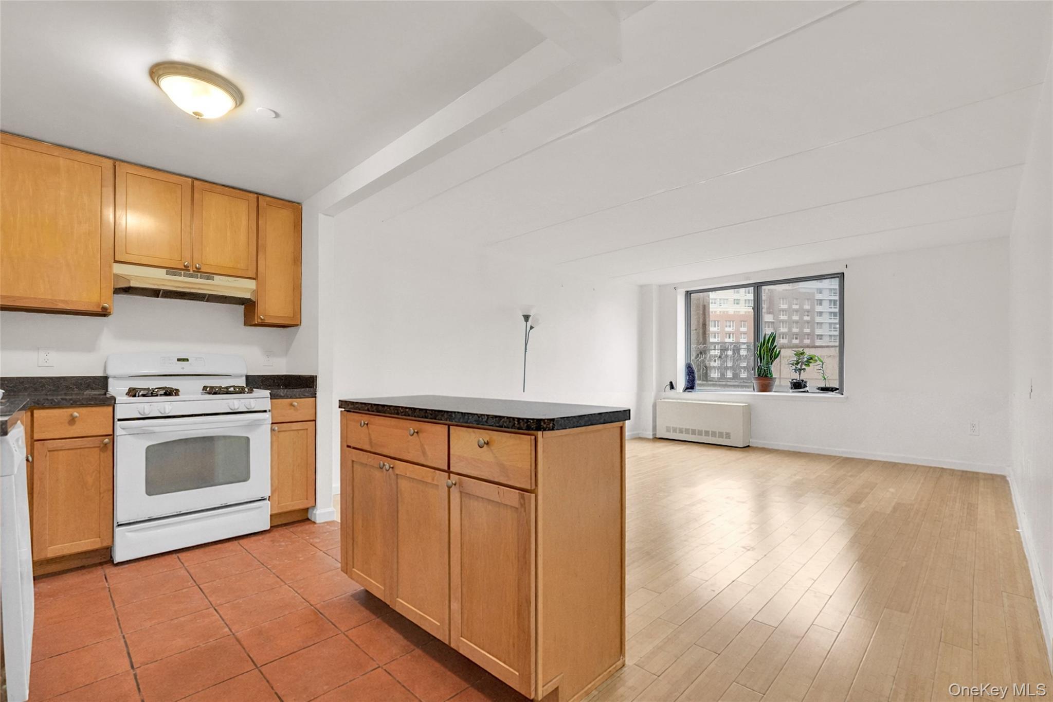 Condo Washington  Bronx, NY 10451, MLS-972231-4