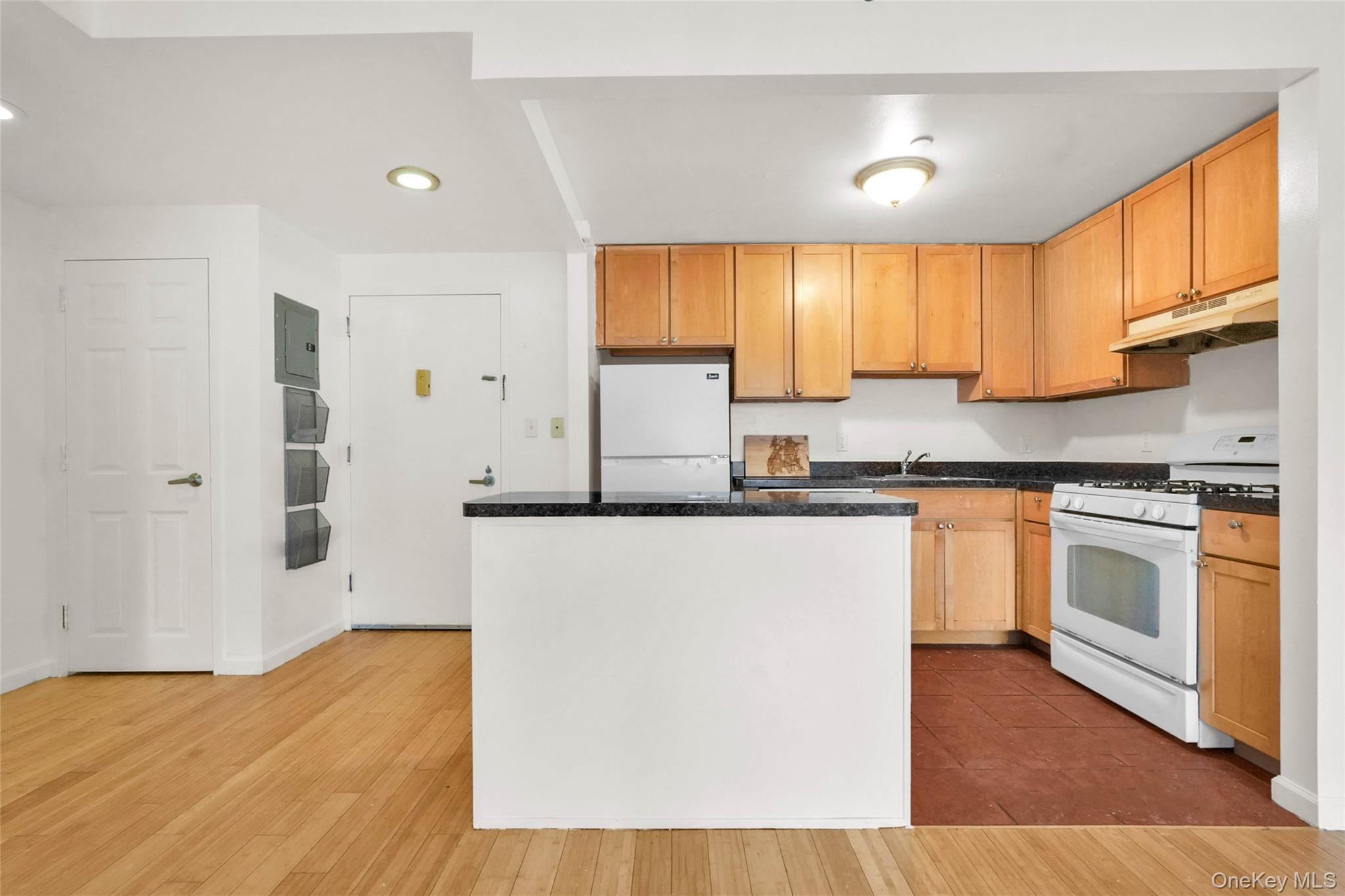 Condo Washington  Bronx, NY 10451, MLS-972231-6
