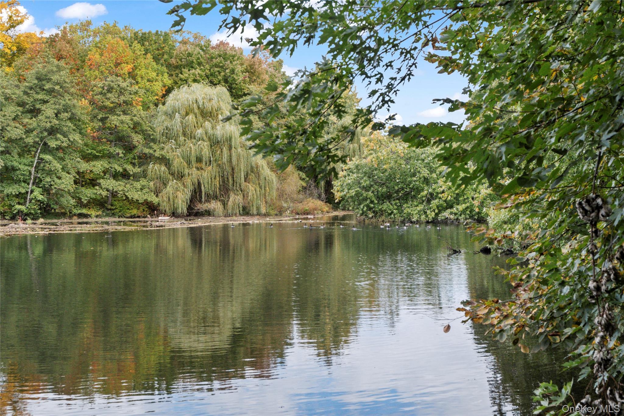 Coop Rivermere  Westchester County, NY 10708, MLS-972244-20