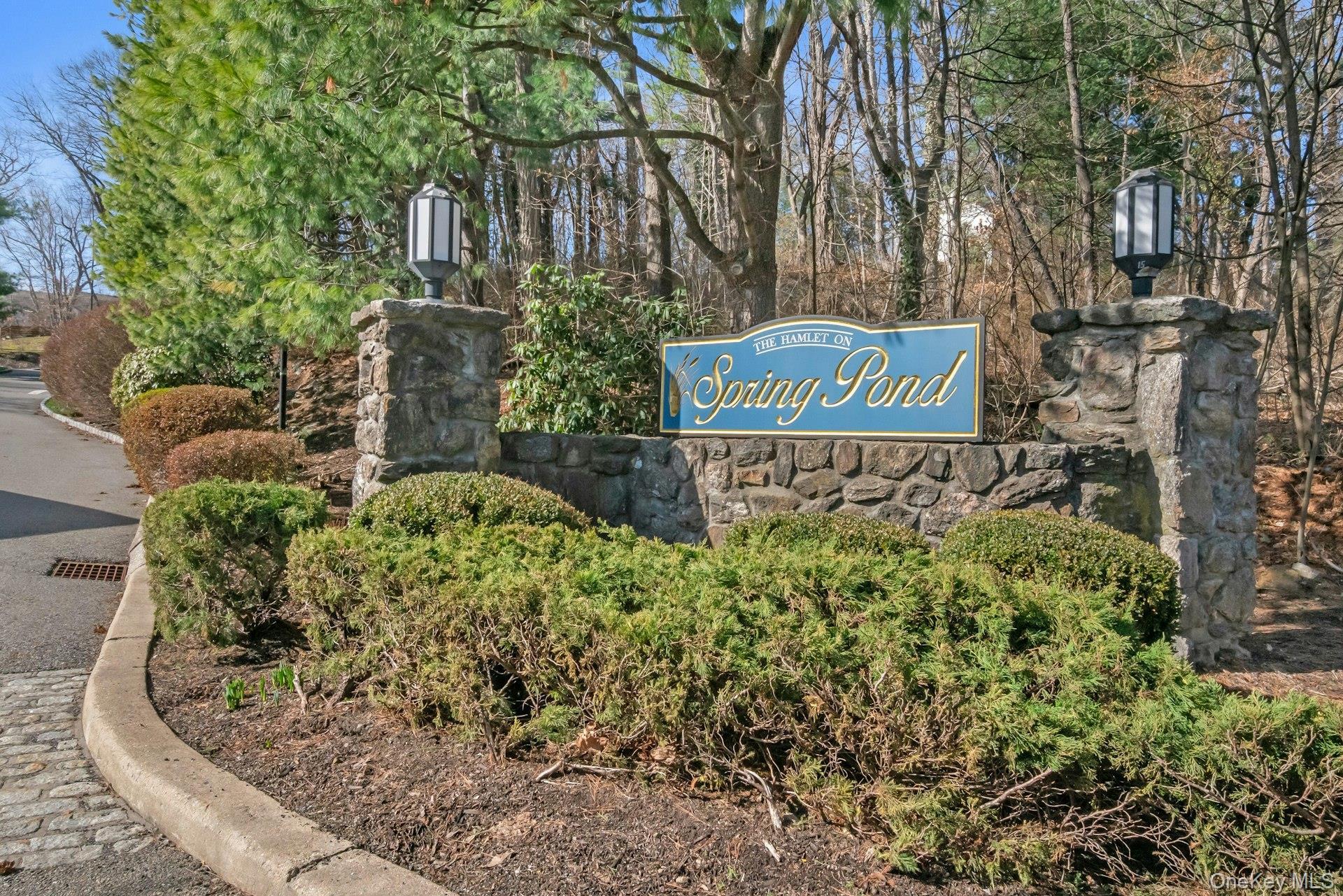 Condo Spring Pond  Westchester County, NY 10562, MLS-972271-34