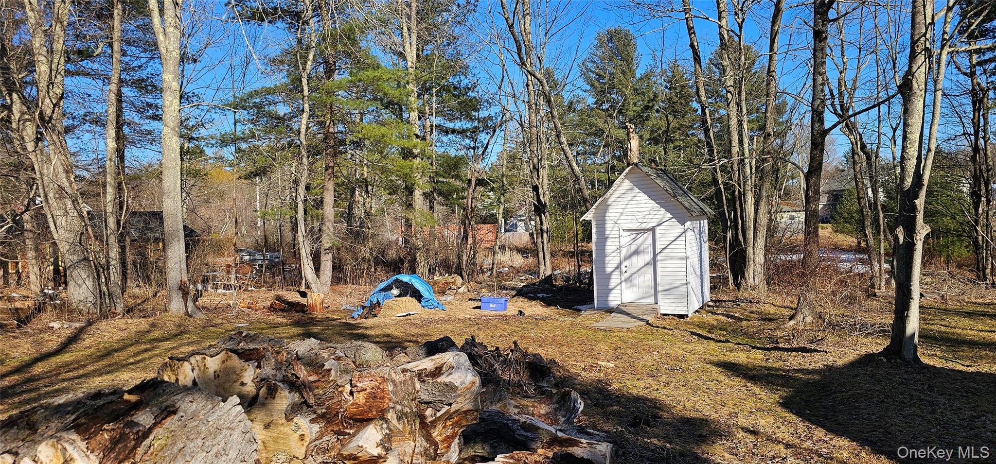 Single Family Central  Sullivan County, NY 12786, MLS-972278-16