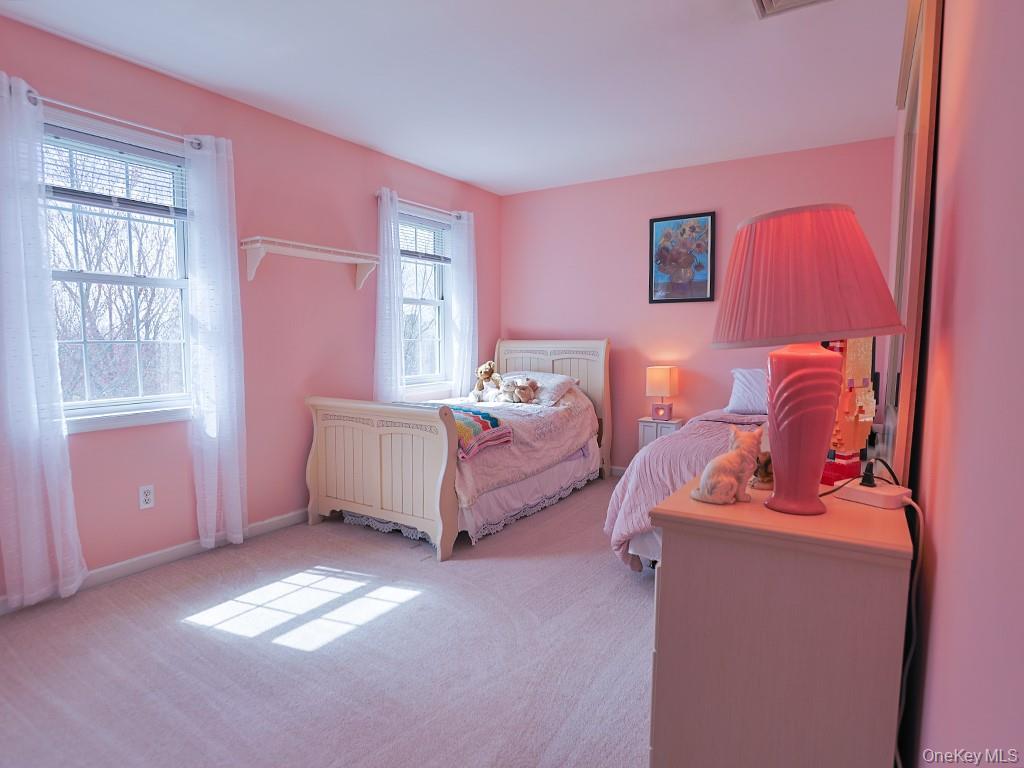 Single Family Colden Hill  Orange County, NY 12550, MLS-972279-32