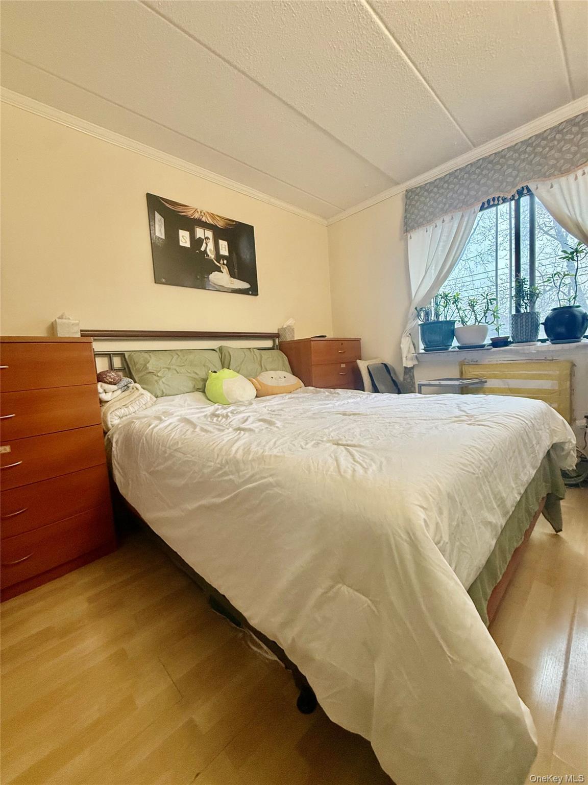 Condo 157th  Queens, NY 11355, MLS-972290-7