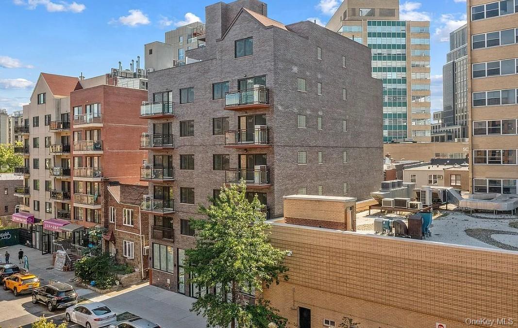 Condo 64th  Queens, NY 11374, MLS-972369-10