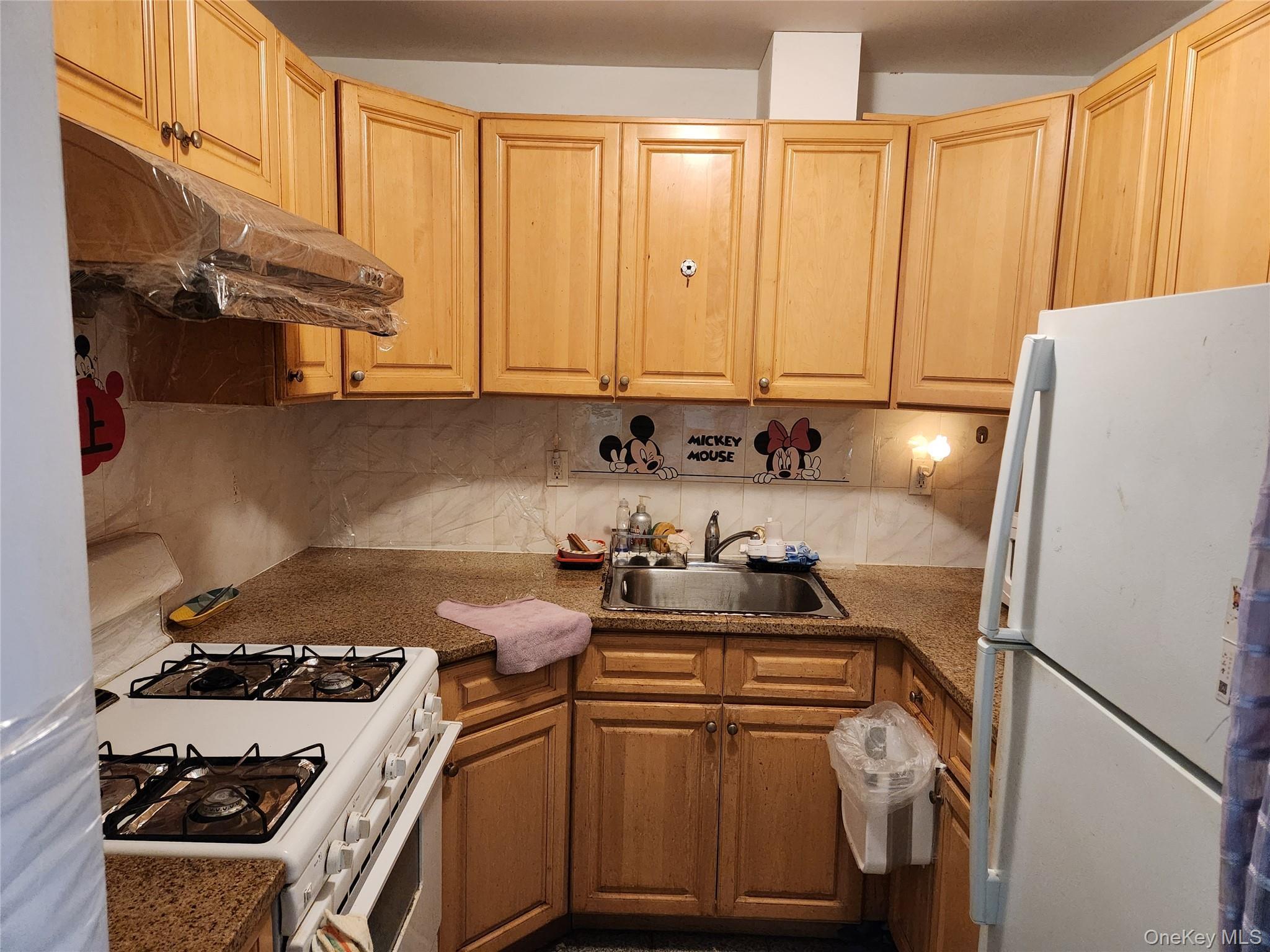 Condo 35th  Queens, NY 11354, MLS-972430-4