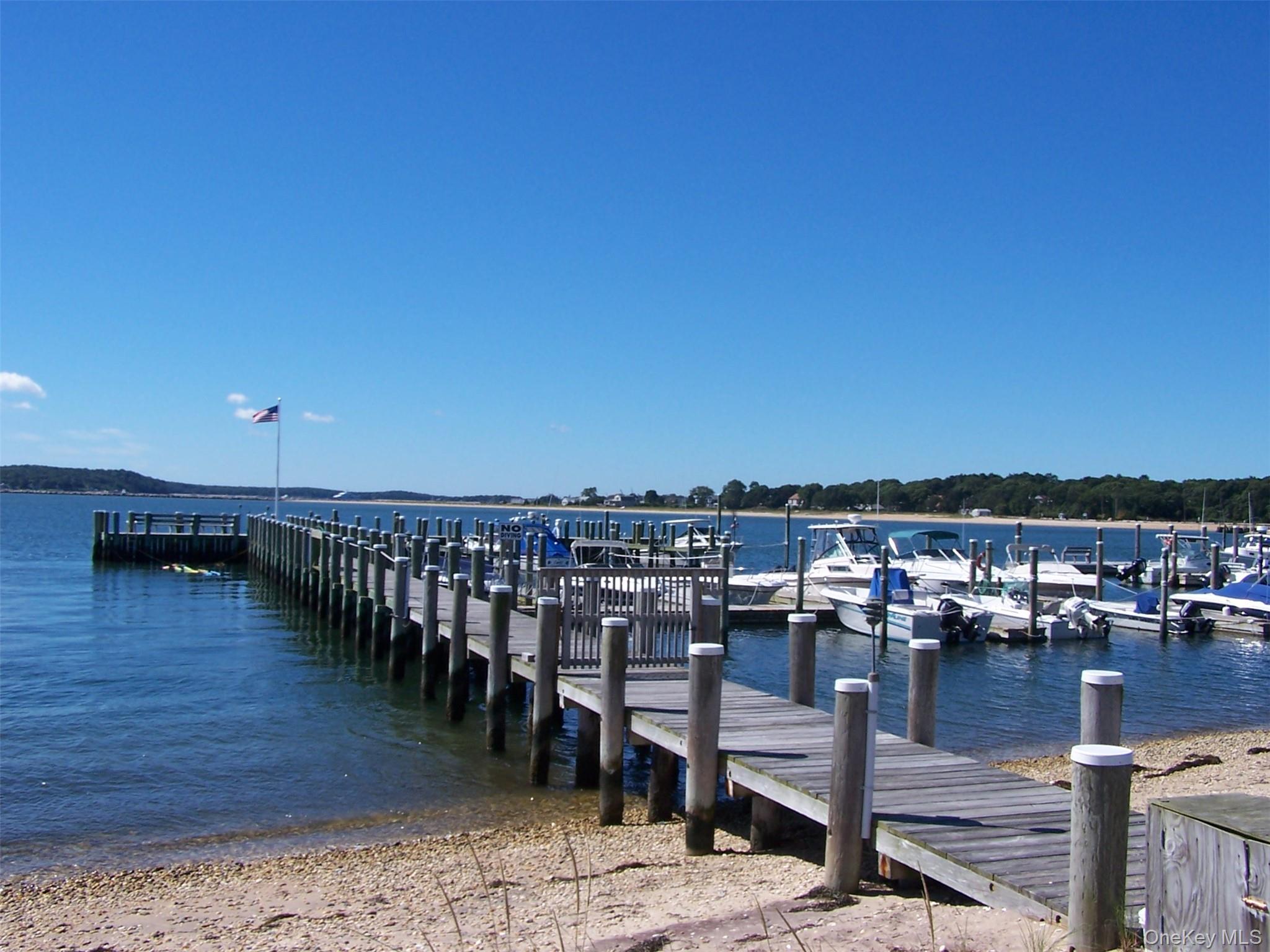 Condo Shipyard  Suffolk County, NY 11939, MLS-972479-46