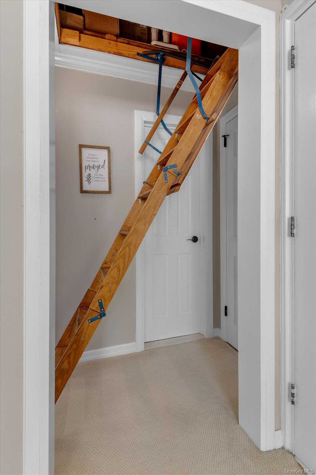 Coop 251st  Queens, NY 11362, MLS-972526-12