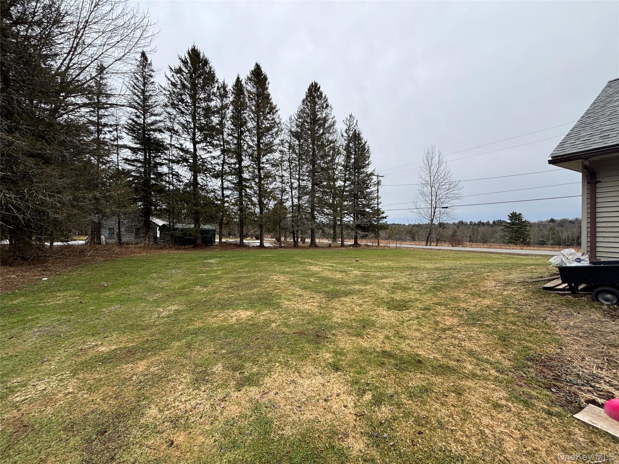 Single Family Bushville Swan Lake  Sullivan County, NY 12734, MLS-972541-10