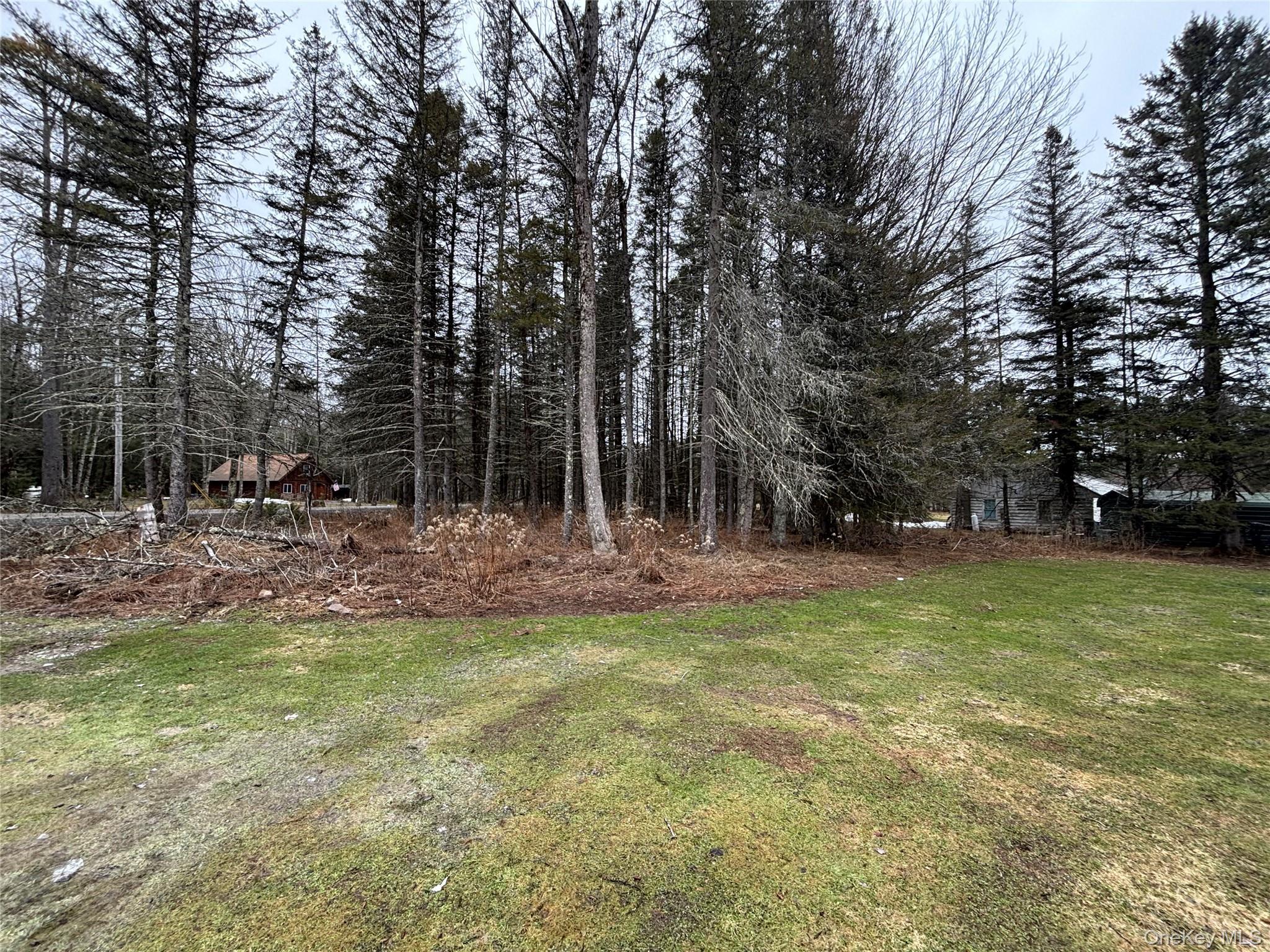 Single Family Bushville Swan Lake  Sullivan County, NY 12734, MLS-972541-9