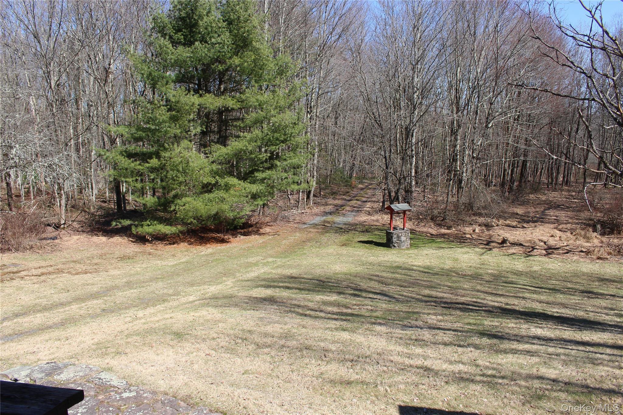 Single Family Britman  Sullivan County, NY 12762, MLS-972555-20