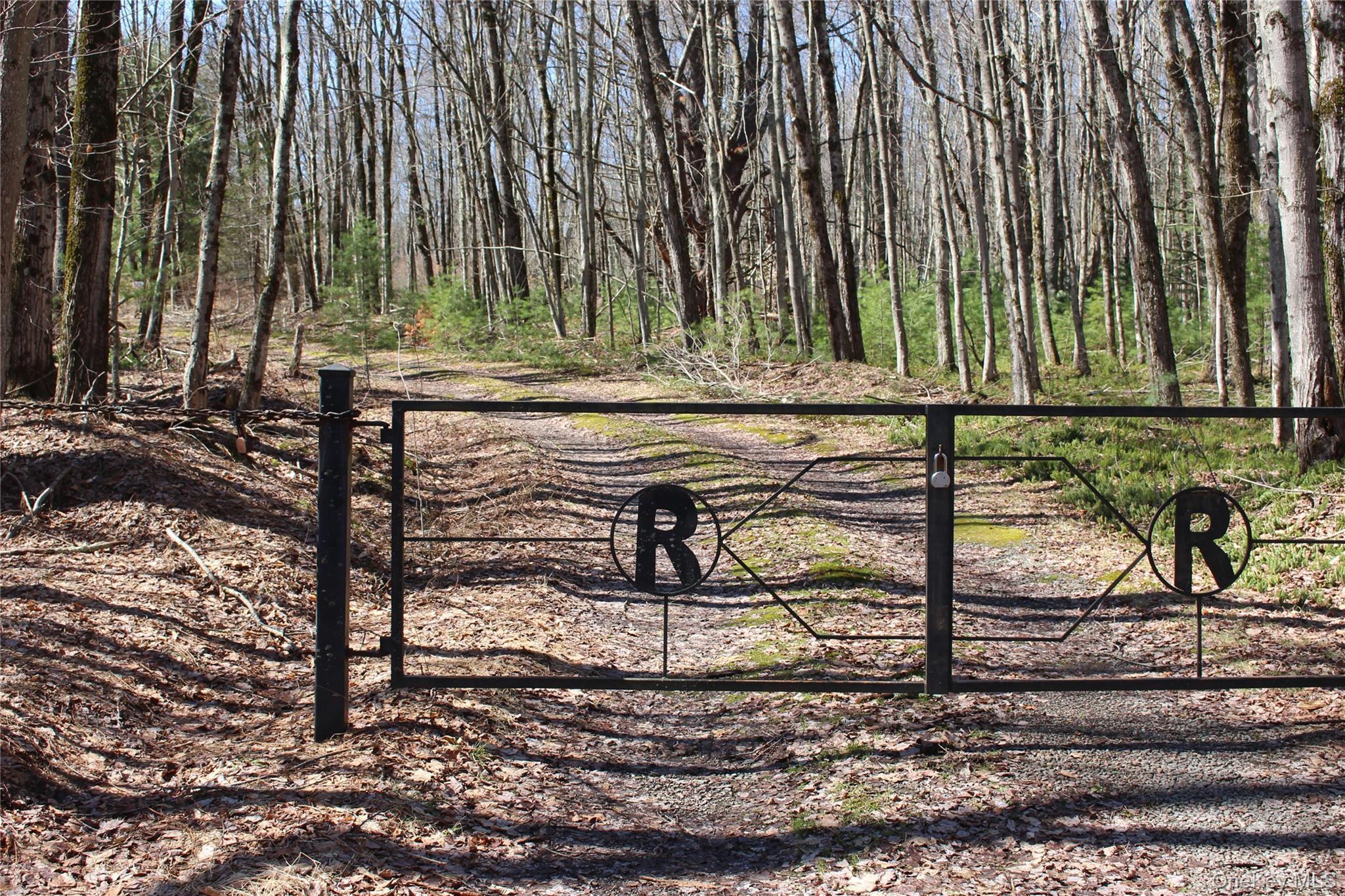 Single Family Britman  Sullivan County, NY 12762, MLS-972555-22