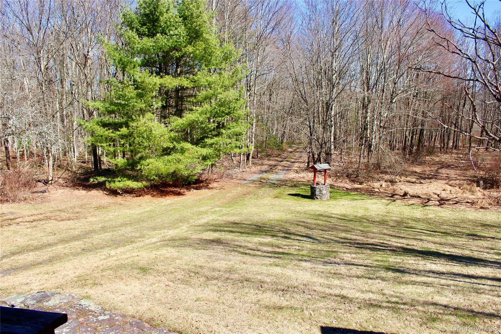 Single Family Britman  Sullivan County, NY 12762, MLS-972555-39