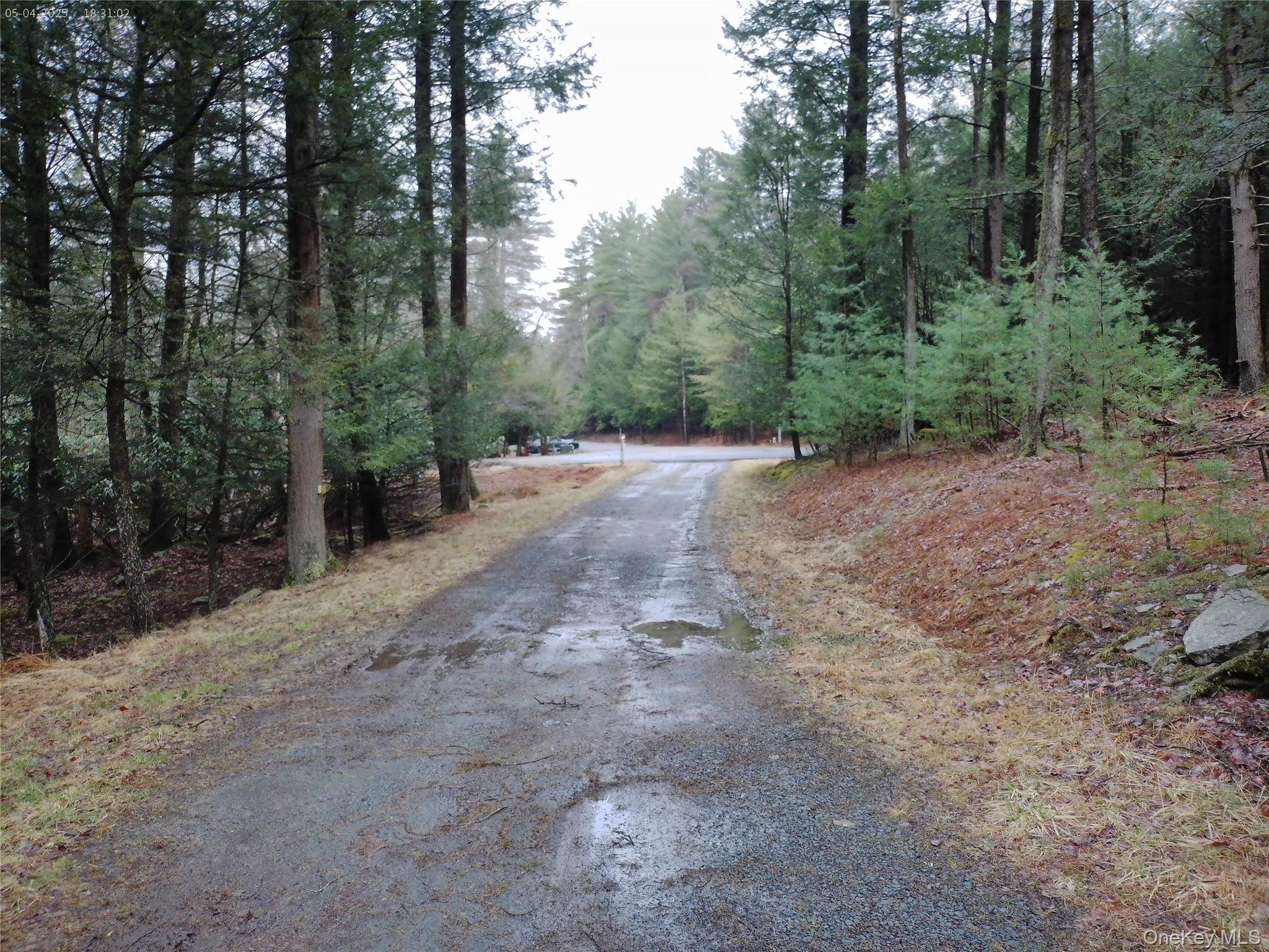 Single Family Lester  Sullivan County, NY 12786, MLS-972571-22