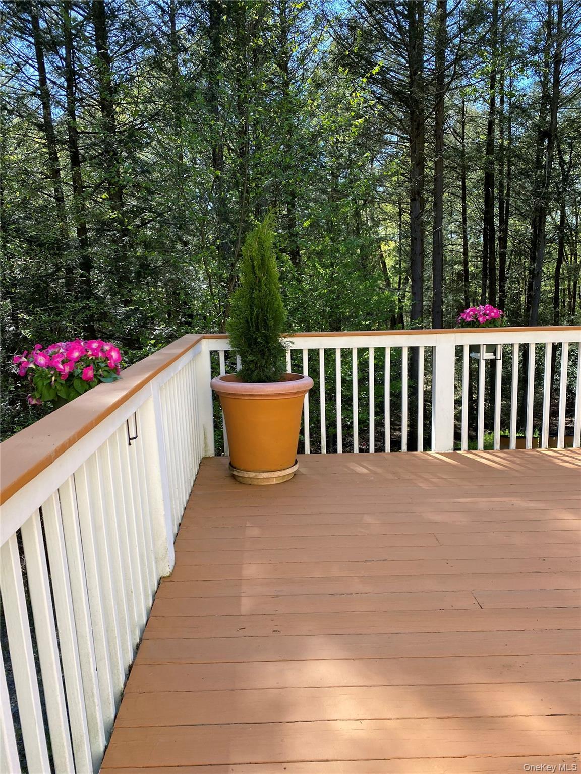 Single Family Lester Lane  Sullivan County, NY 12786, MLS-972571-25