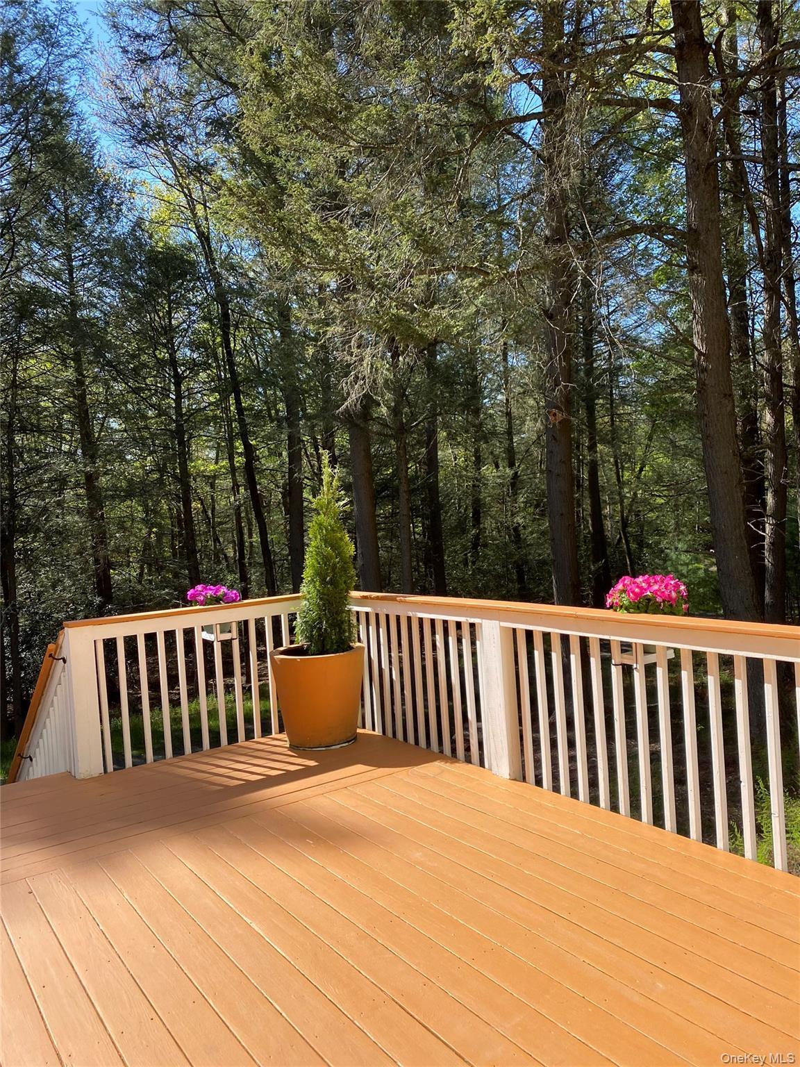 Single Family Lester Lane  Sullivan County, NY 12786, MLS-972571-27