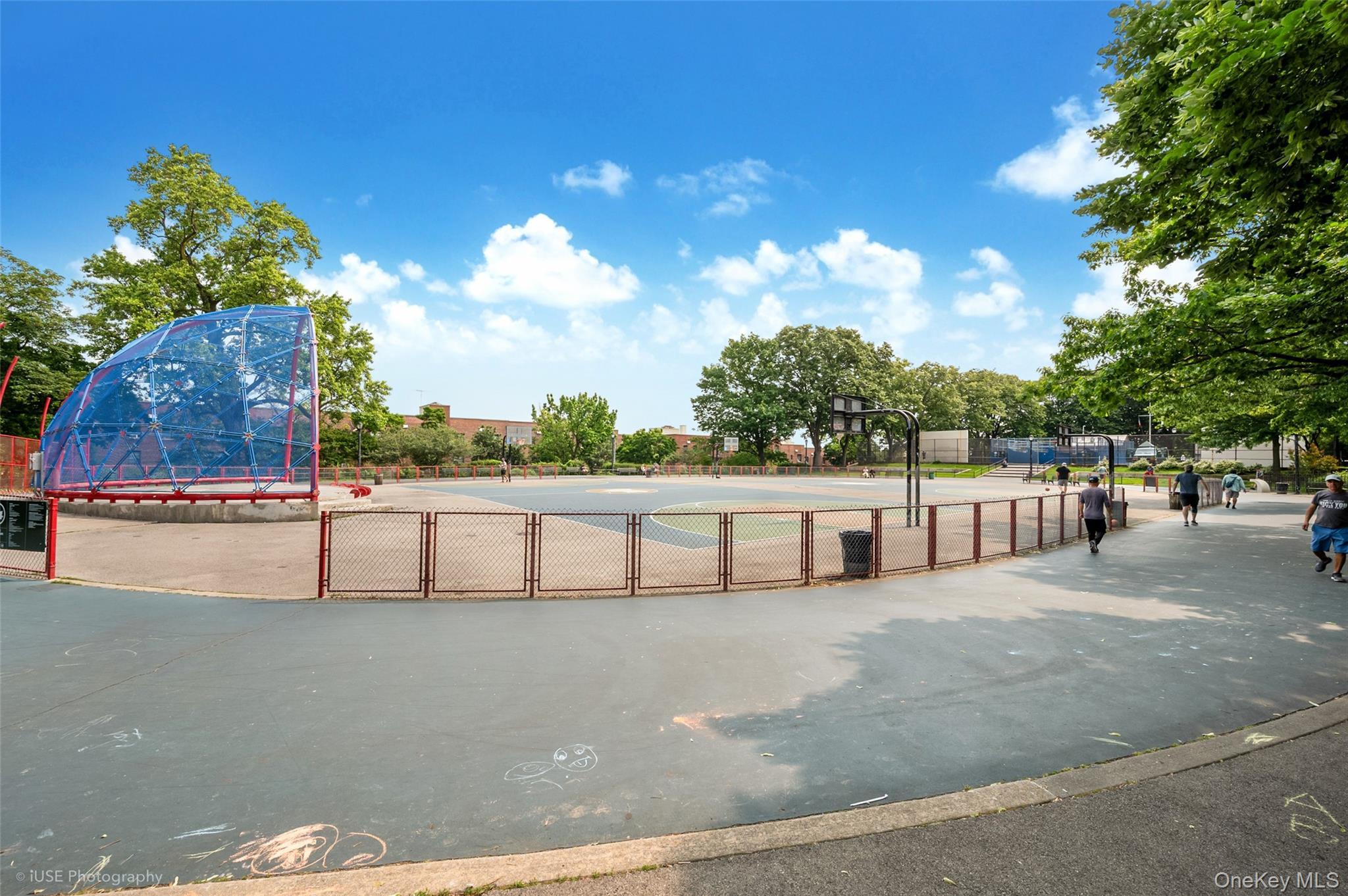 Coop 52nd Queens, NY 11377, MLS-972631-6