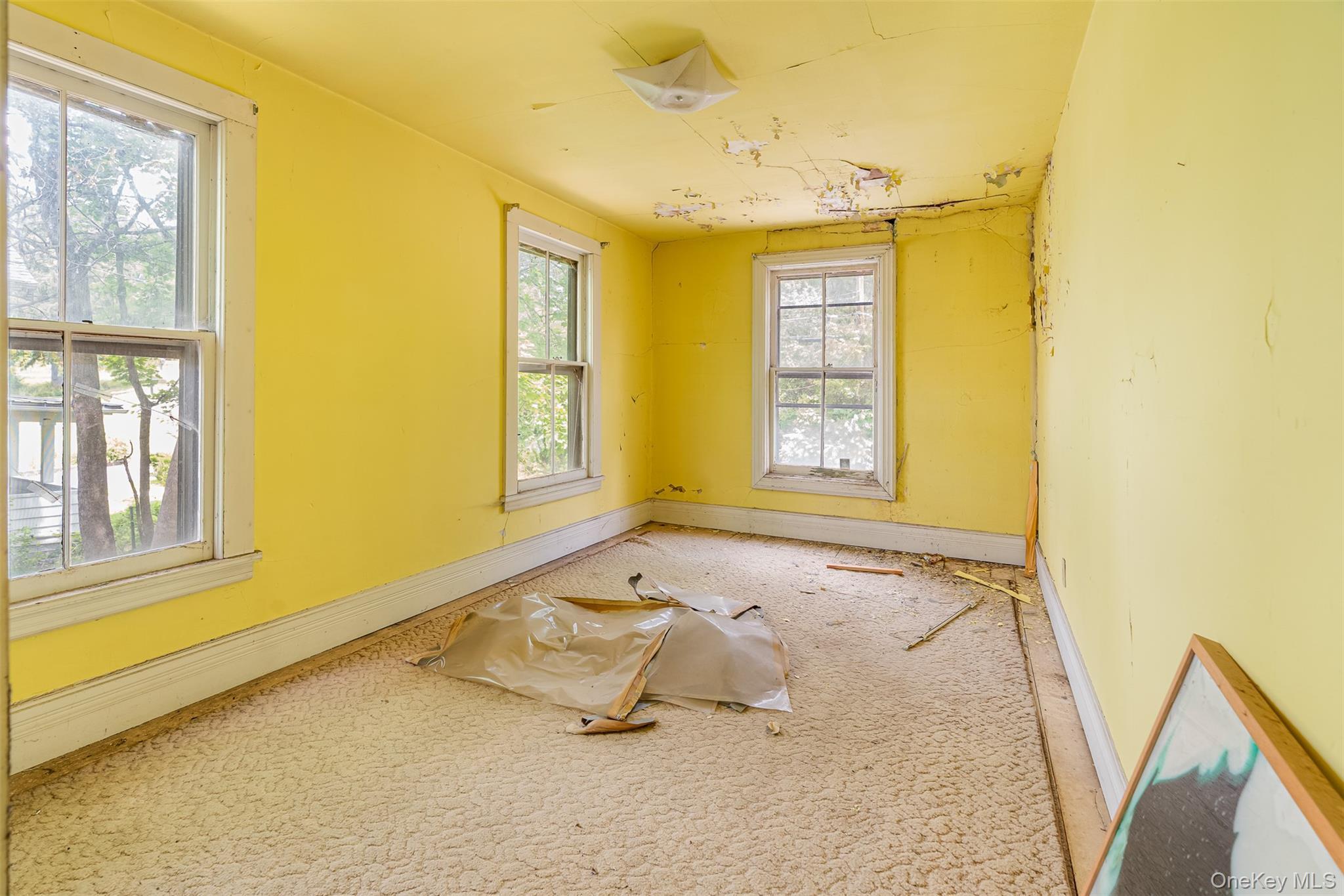 Single Family Maple Greene County, NY 12414, MLS-972633-19