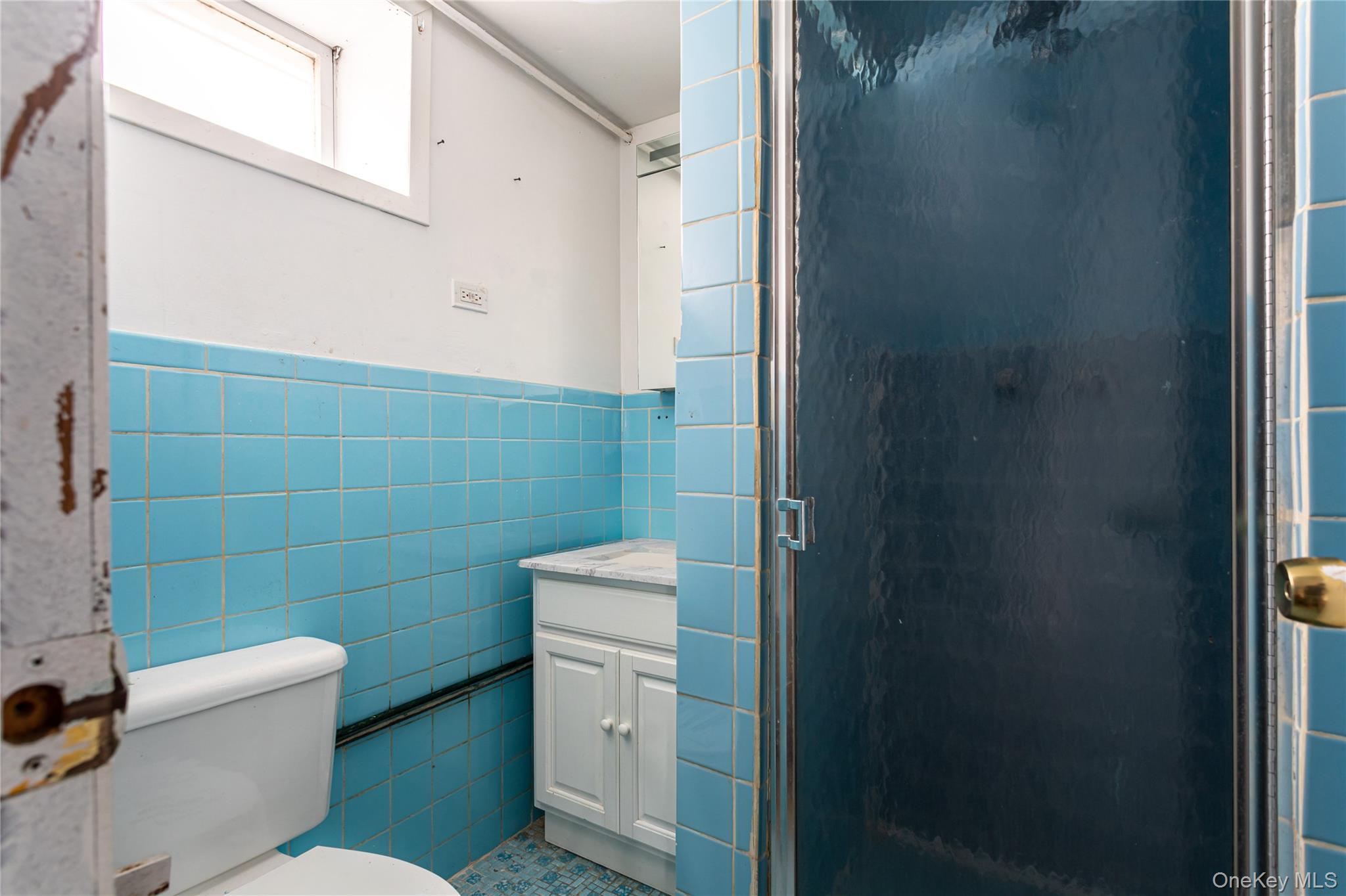 Single Family 48th  Brooklyn, NY 11203, MLS-972639-21