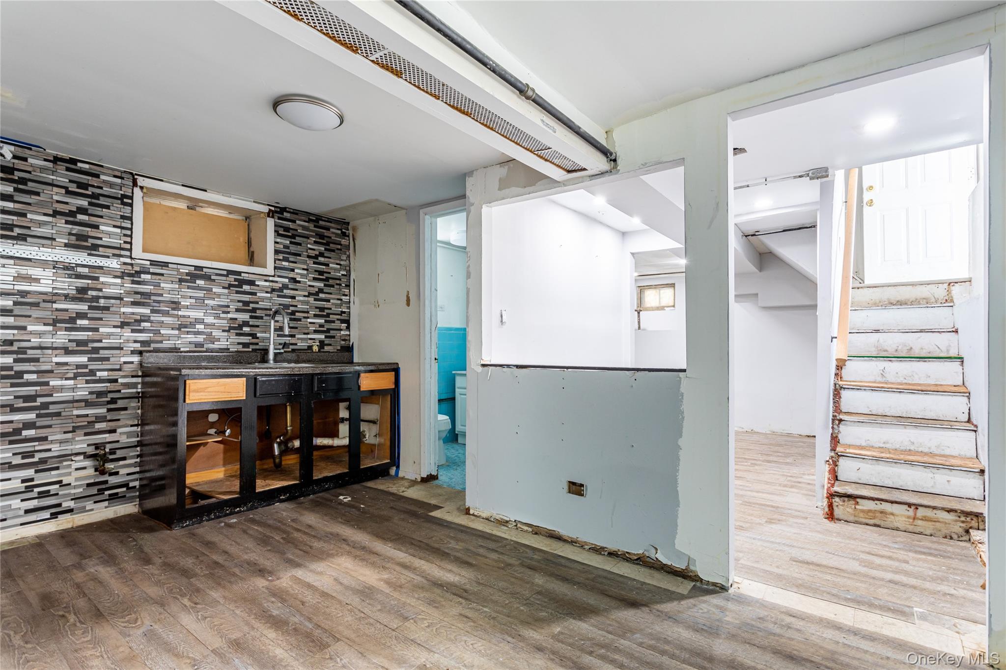 Single Family 48th  Brooklyn, NY 11203, MLS-972639-25