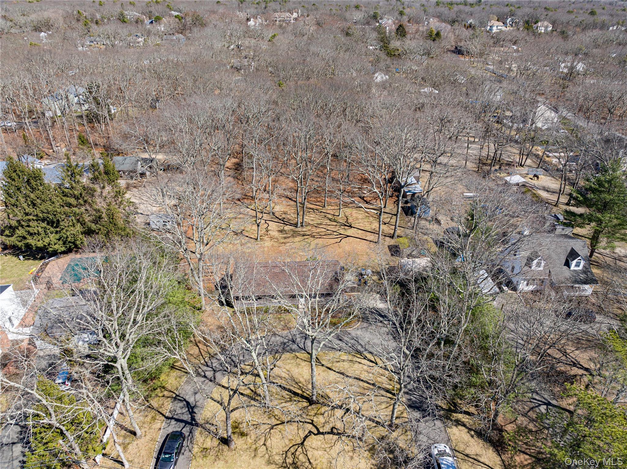 Single Family Woodlot  Suffolk County, NY 11961, MLS-972669-16