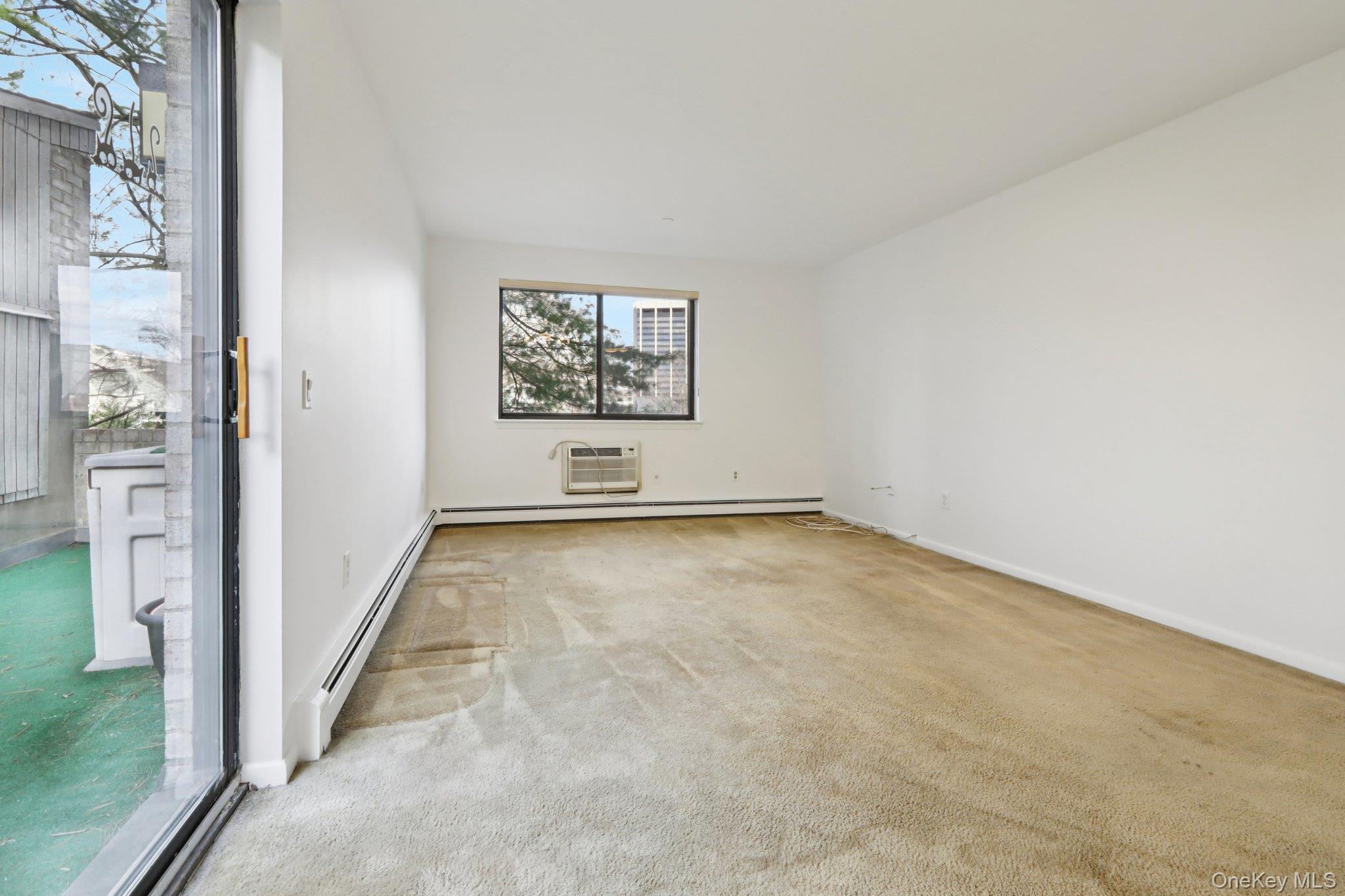 Condo Carhart Westchester County, NY 10605, MLS-972677-8