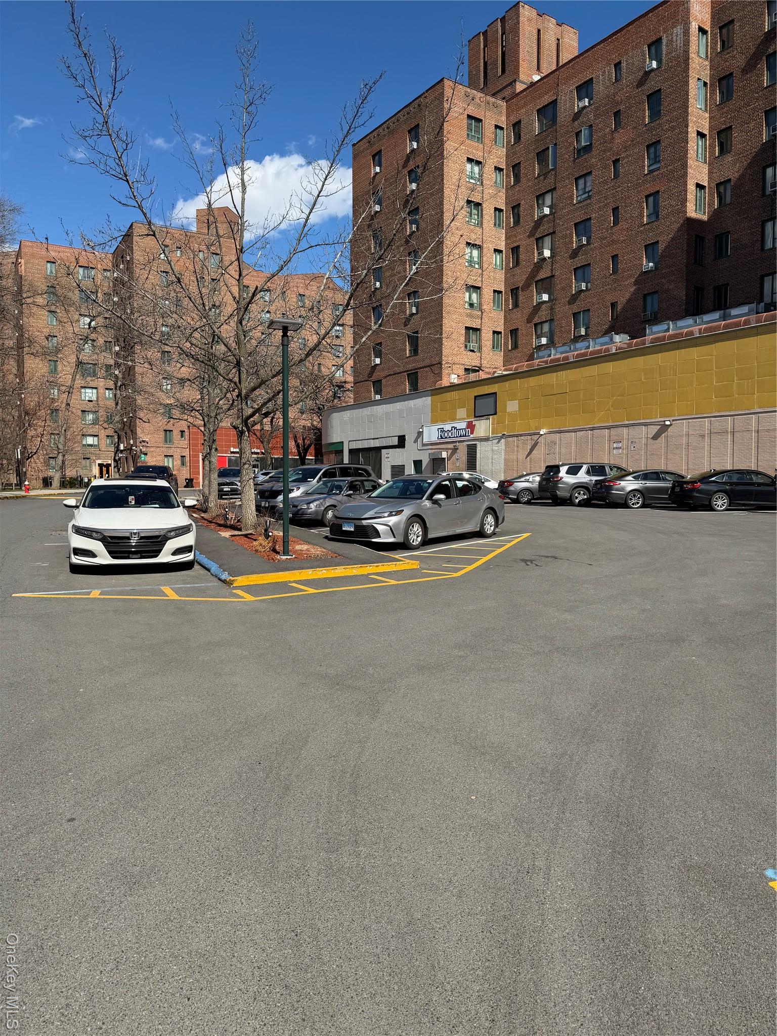 Condo Wood Bronx, NY 10462, MLS-972742-10