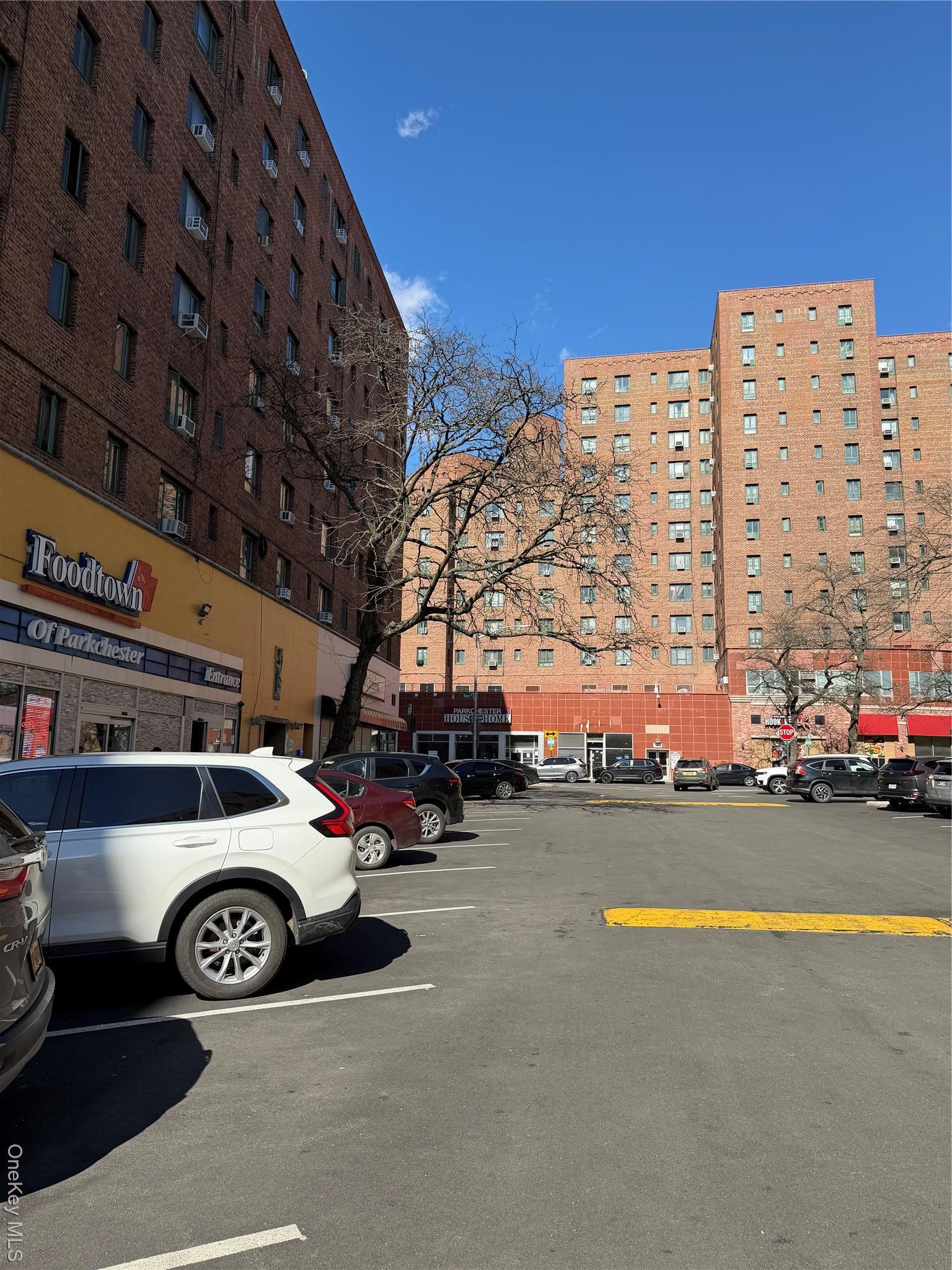 Condo Wood  Bronx, NY 10462, MLS-972742-11