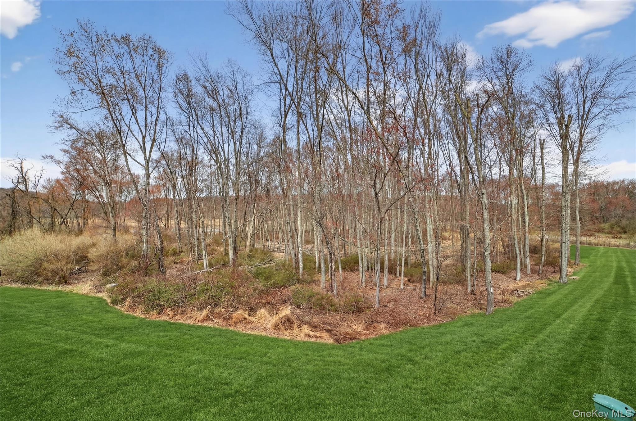 Condo Spring Meadow  Westchester County, NY 10589, MLS-972826-34