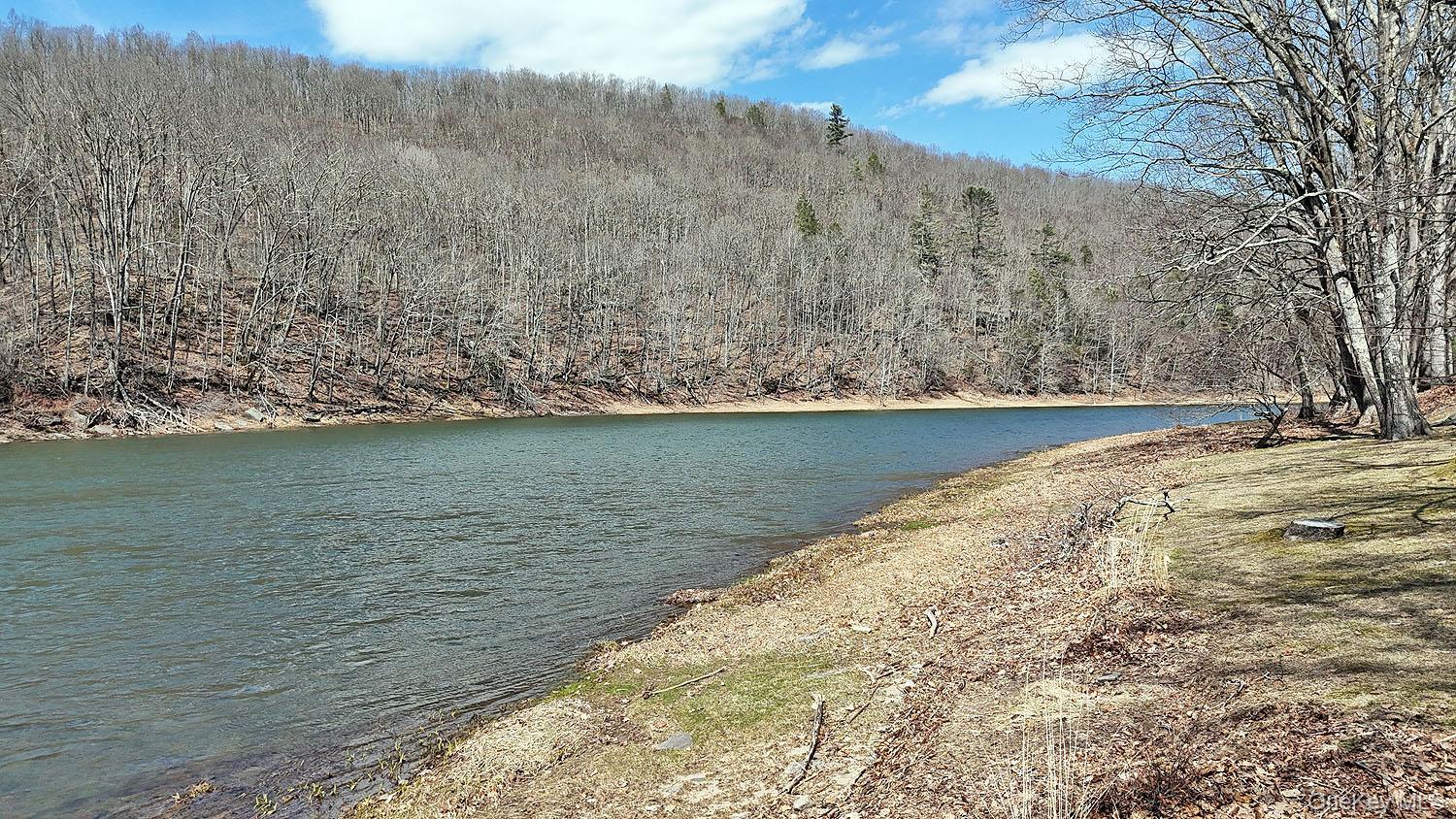 Single Family River  Sullivan County, NY 12723, MLS-972903-6