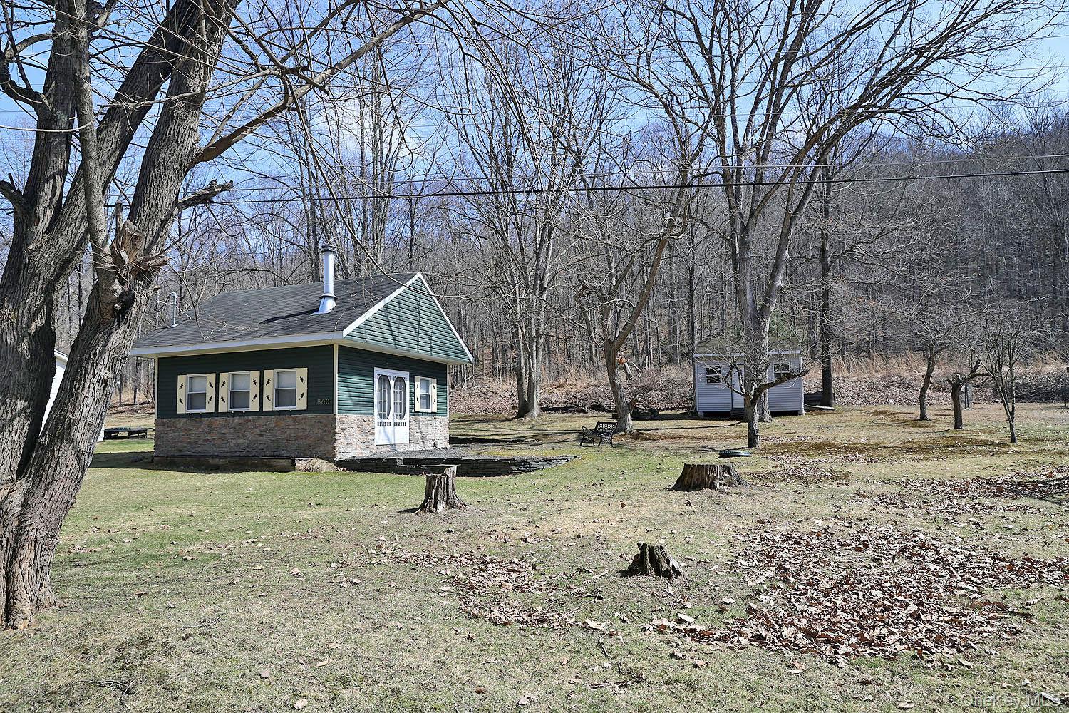 Single Family River  Sullivan County, NY 12723, MLS-972903-8