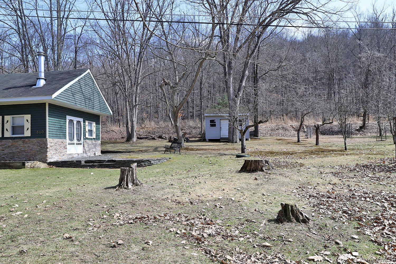 Single Family River  Sullivan County, NY 12723, MLS-972903-9