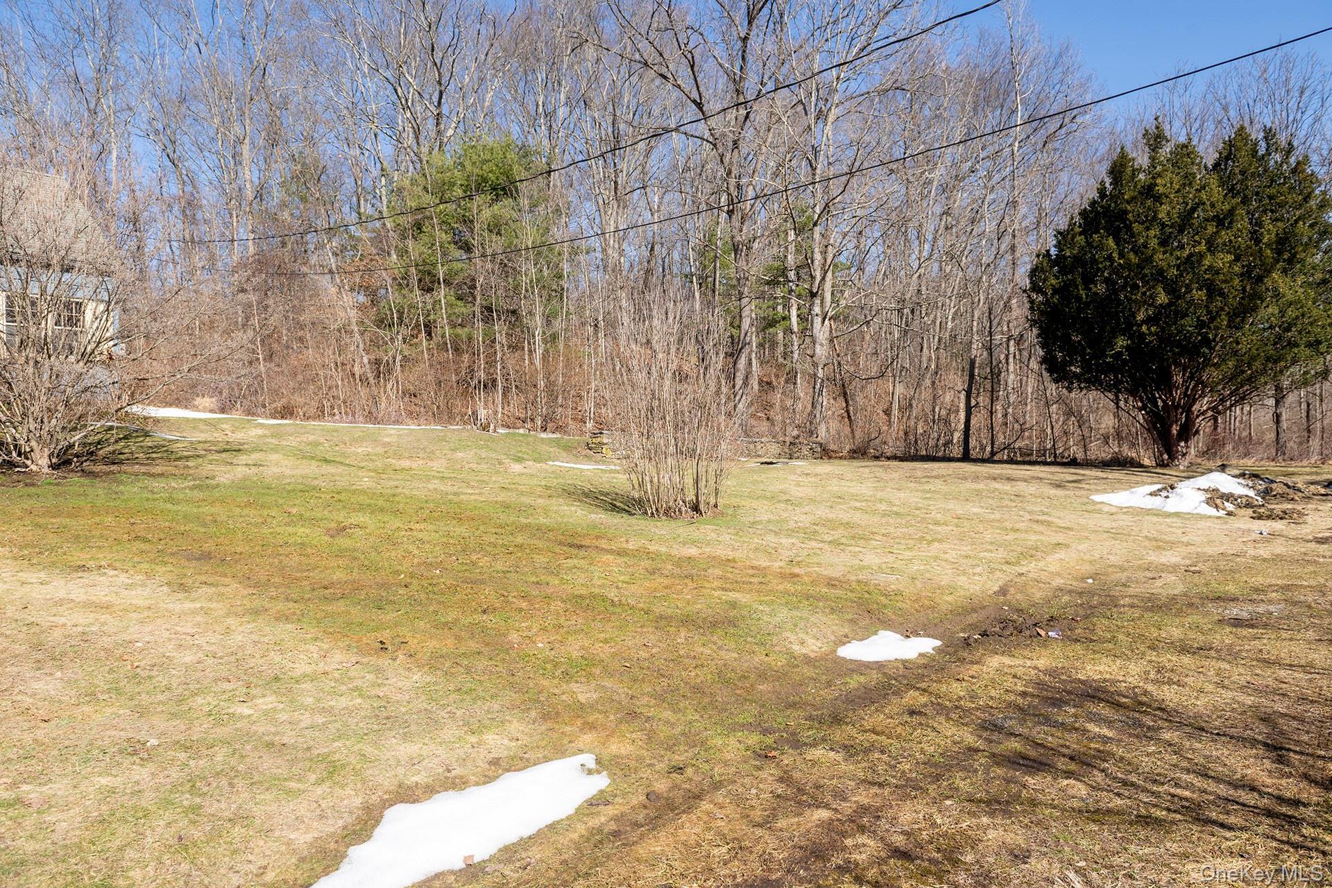 Single Family Route 82 Dutchess County, NY 12545, MLS-972935-7