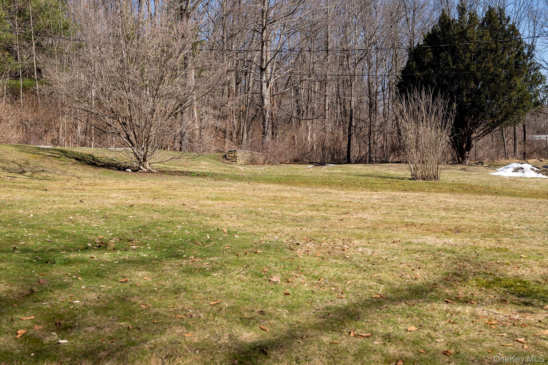 Single Family Route 82 Dutchess County, NY 12545, MLS-972935-8