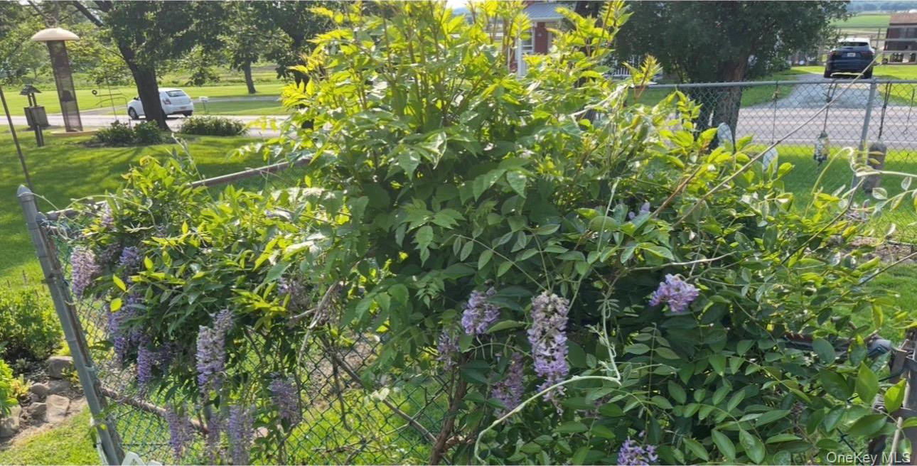 Single Family Pulaski  Orange County, NY 10924, MLS-972943-16