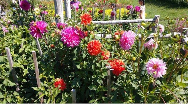 Single Family Pulaski  Orange County, NY 10924, MLS-972943-17