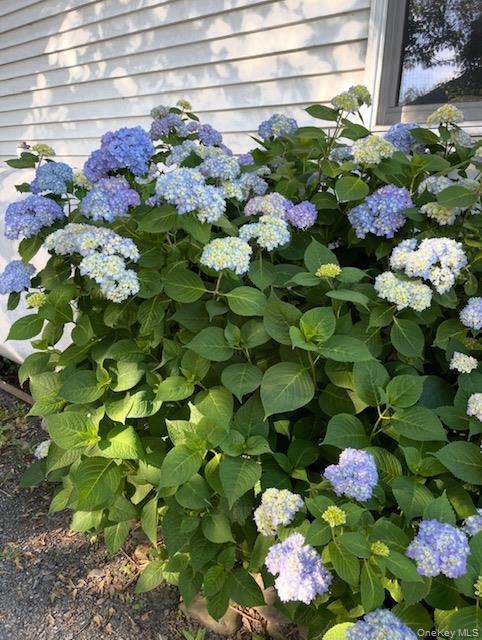 Single Family Pulaski  Orange County, NY 10924, MLS-972943-18