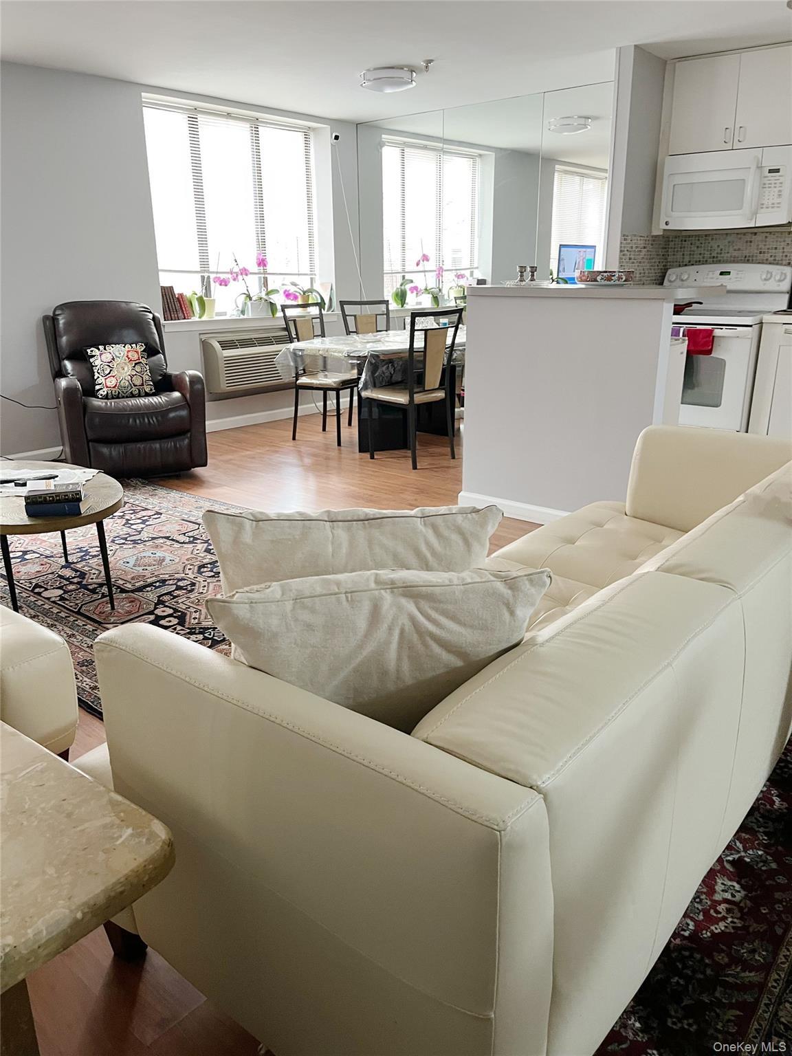 Condo Canterbury  Nassau County, NY 11021, MLS-972945-10