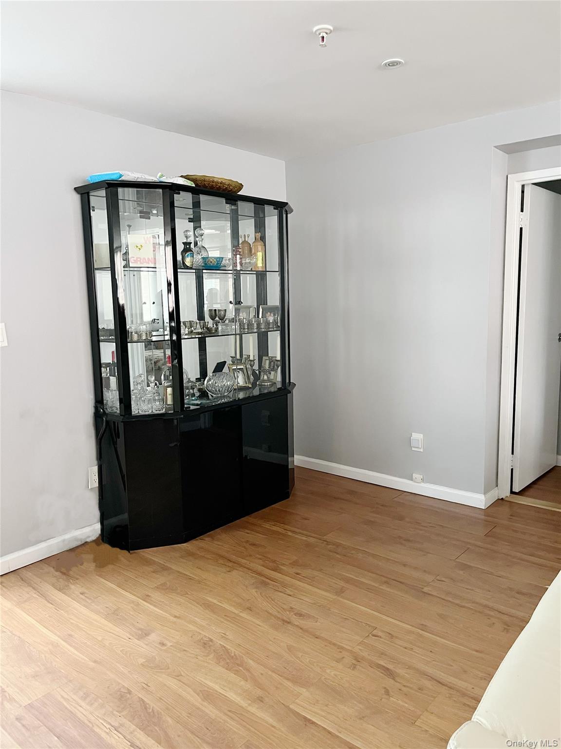 Condo Canterbury Nassau County, NY 11021, MLS-972945-2