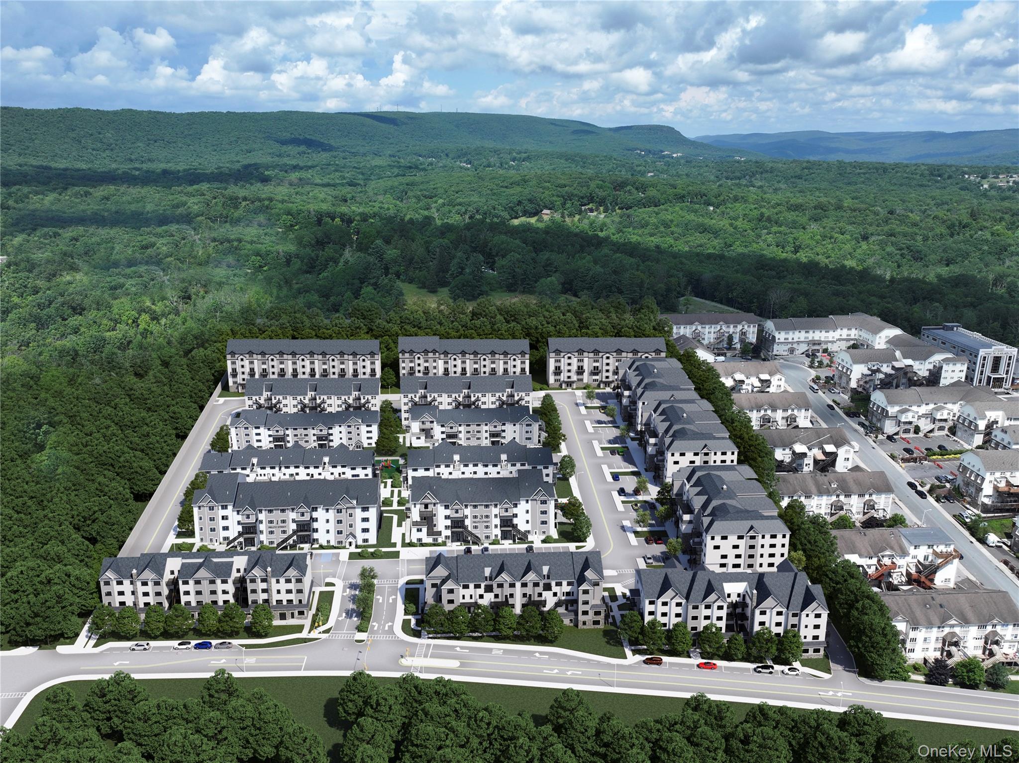 Single Family Dzikov  Orange County, NY 10950, MLS-972994-2