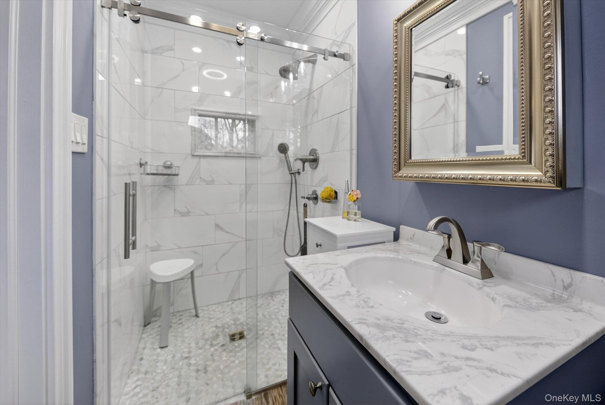 Single Family Chestnut  Orange County, NY 12553, MLS-973058-20