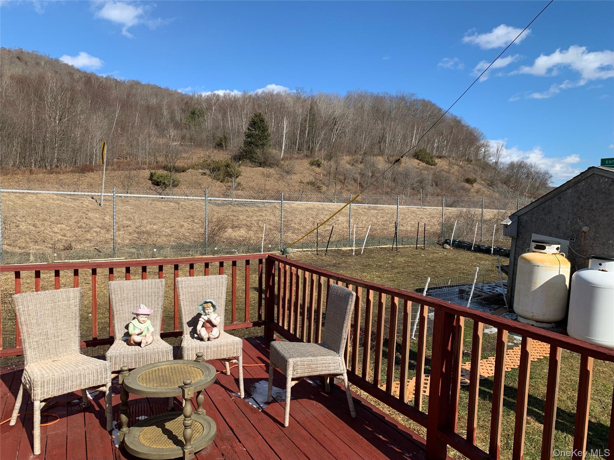 Single Family County Highway 17  Delaware County, NY 12776, MLS-973079-18