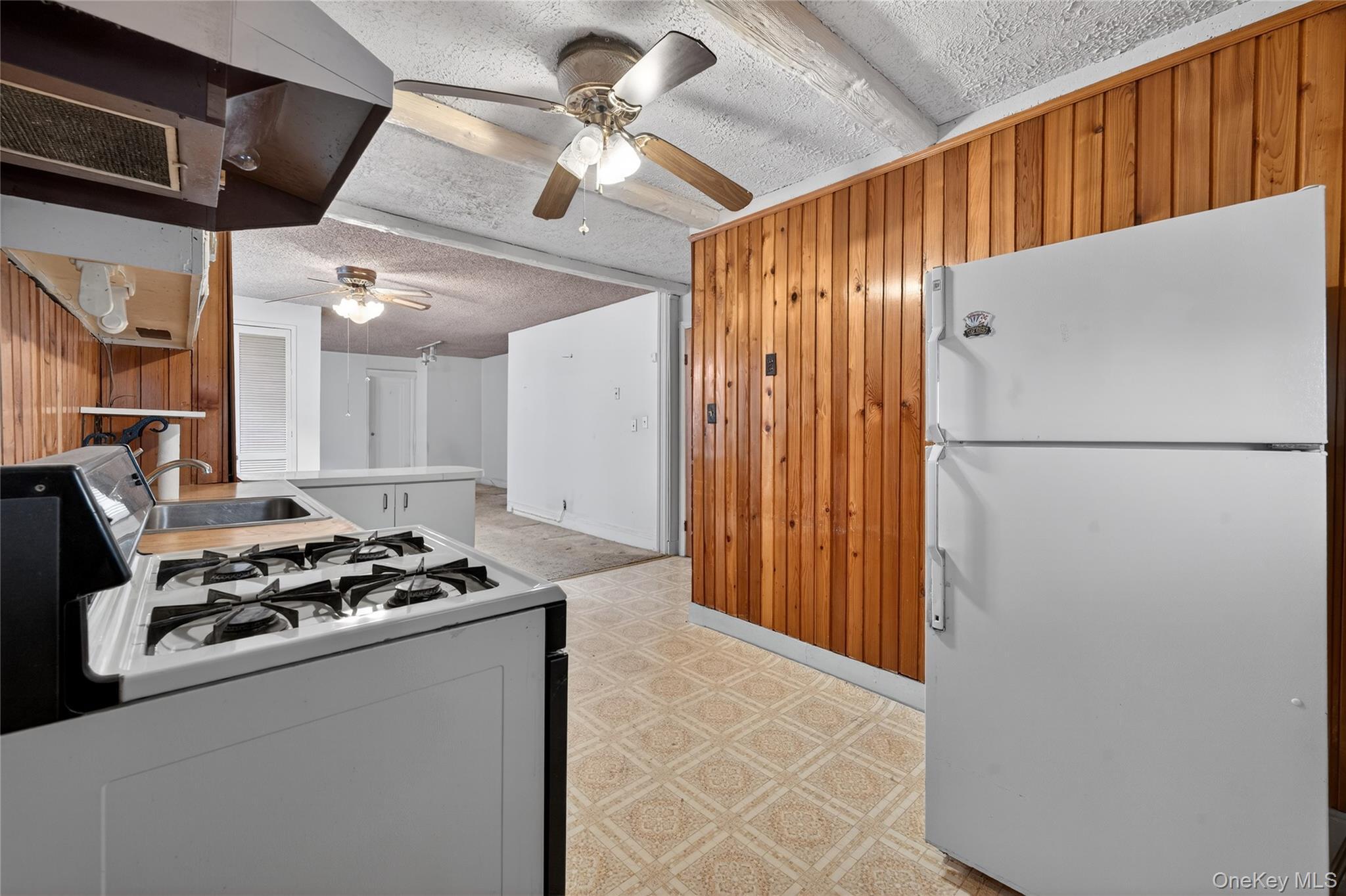 Single Family 111th  Queens, NY 11419, MLS-973087-7