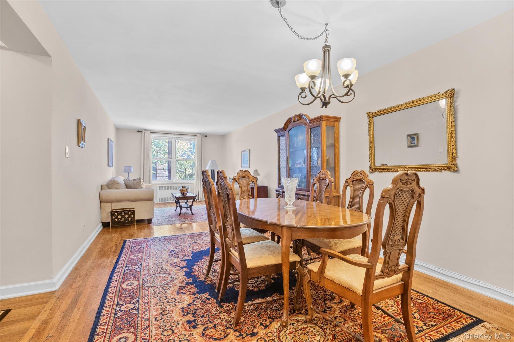 Coop Clyde  Queens, NY 11375, MLS-973128-3